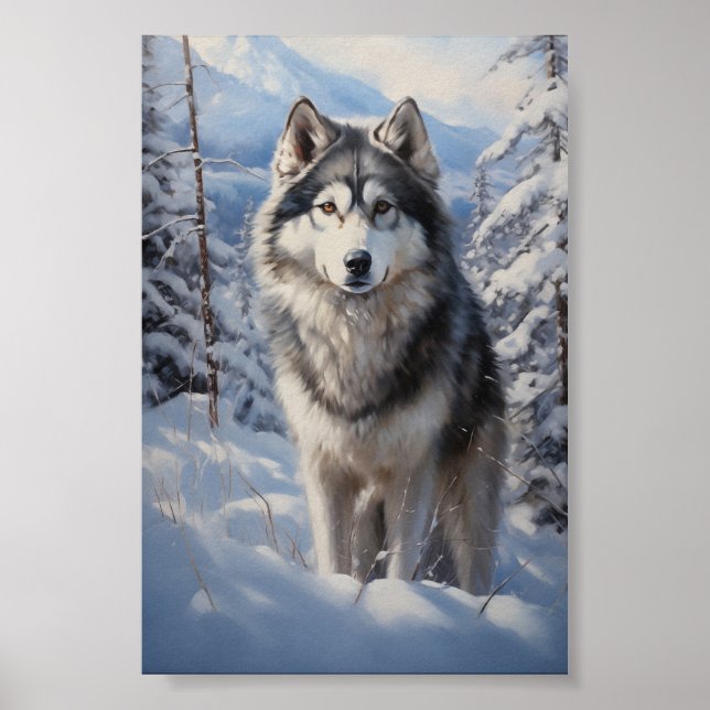 Alaska Malamute Poster (Framsidan)
