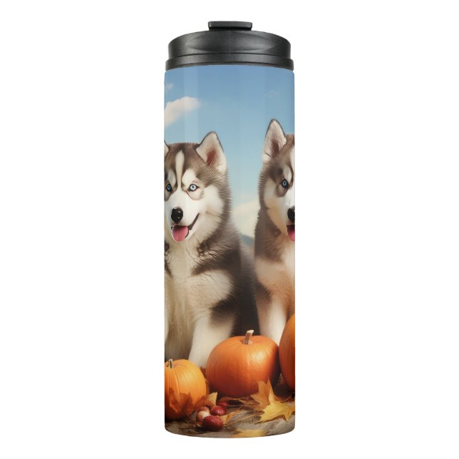 Alaska Malamute Puppy Autumn Delight Pumpkin (Framsida)