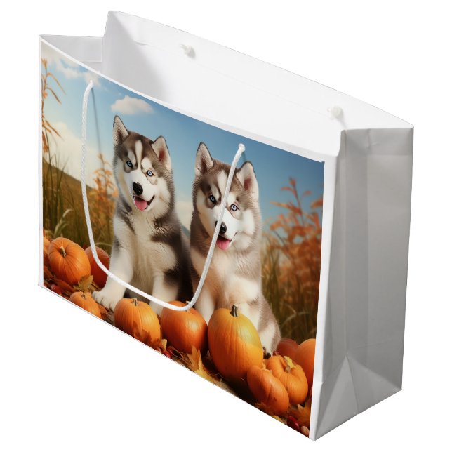 Alaska Malamute Puppy Autumn Delight Pumpkin (Framsidan Vinklad)