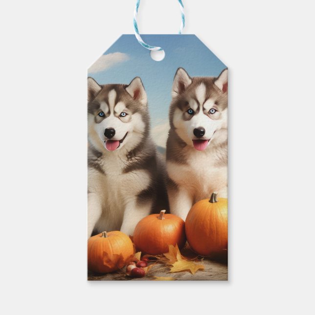 Alaska Malamute Puppy Autumn Delight Pumpkin Presentetikett (Framsidan)