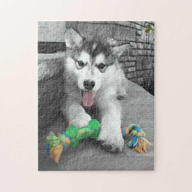 Alaska Malamute Puppy Färg Stänk-foto Pussel (Vertikal)