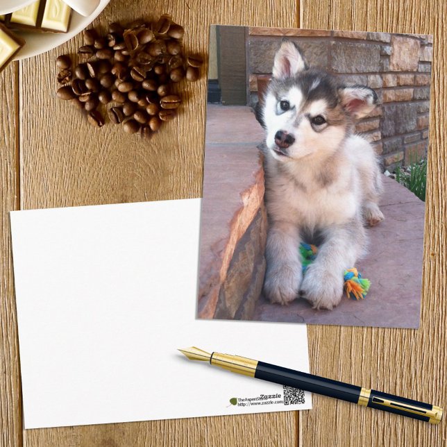 Alaska Malamute Puppy Head Tilt-foto Vykort (Skapare uppladdad)