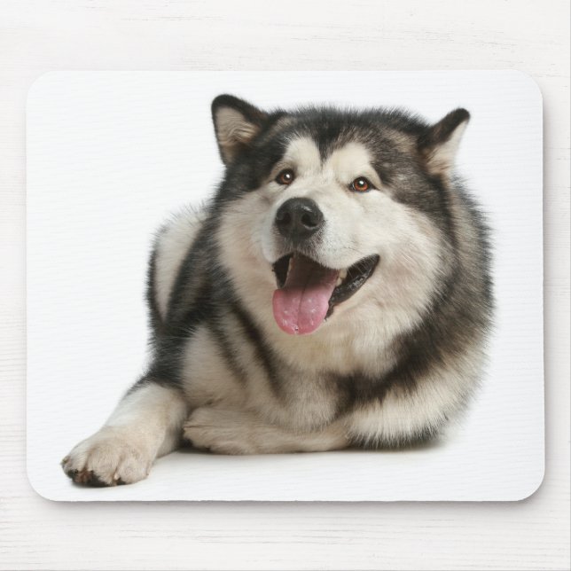 Alaska Malamute Puppy Hund Mousepad Musmatta (Framsidan)