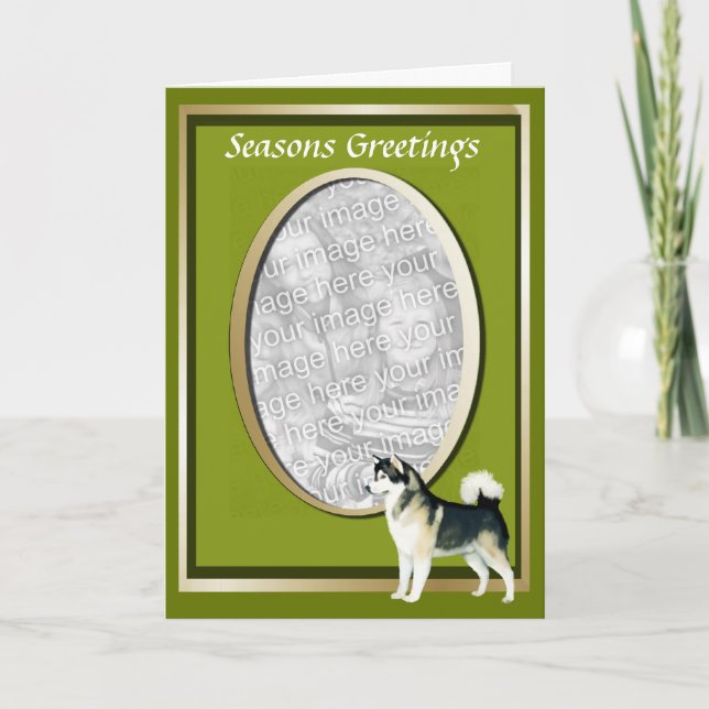 Alaska Malamute Seasons Greeting Card Helgkort (Framsida)