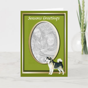 Alaska Malamute Seasons Greeting Card Helgkort