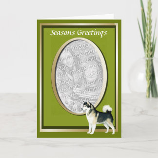 Alaska Malamute Seasons Greeting Card Helgkort