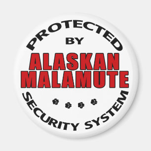 Alaska Malamute Security Magnet
