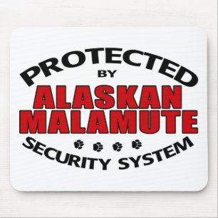 Alaska Malamute Security Musmatta