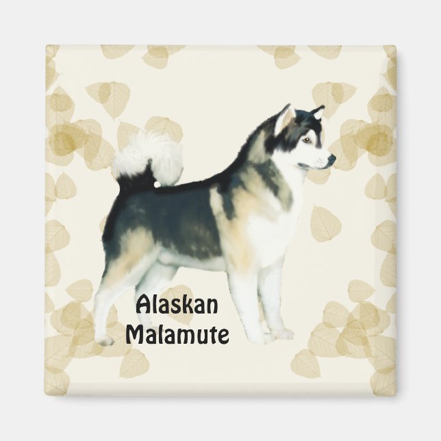 Alaska Malamute ~ Tan Lövs Motiff Magnet (Framsidan)
