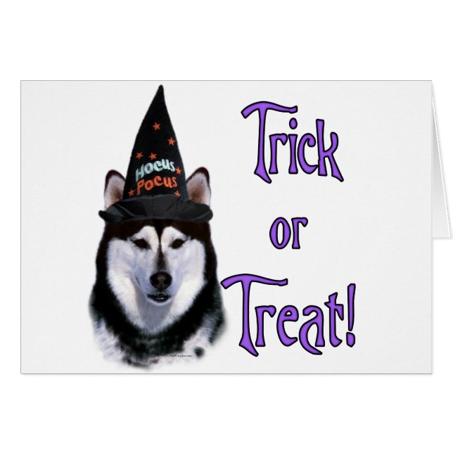 Alaska Malamute Trick Hälsningskort (Framsidan Horizontal)