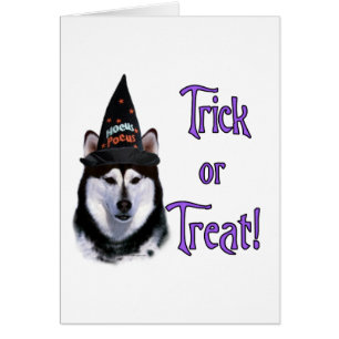 Alaska Malamute Trick Hälsningskort