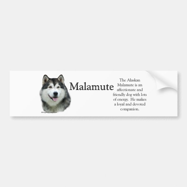 Alaska Malamute Trivia Bumper Sticker Bildekal (Framsidan)