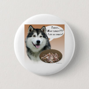 Alaska Malamute Turkey - Button Knapp