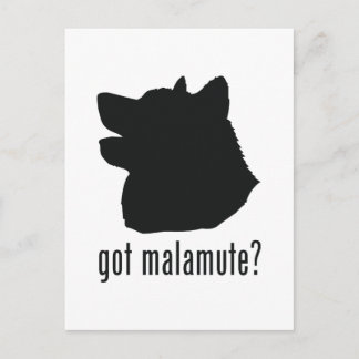 Alaska Malamute Vykort
