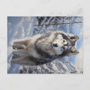 Alaska Malamute Vykort
