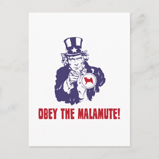 Alaska Malamute Vykort (Framsida)