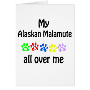 Alaska Malamute Walks Design Hälsningskort