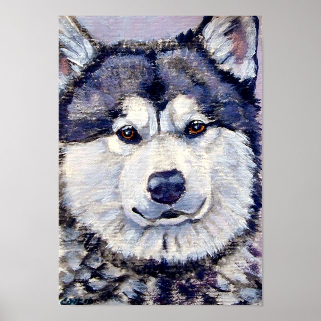 Alaska Malamute Wall Skriv ut Poster (Framsidan)