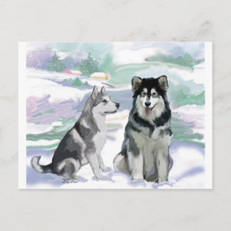 Alaska Malamute Winter Scene Vykort