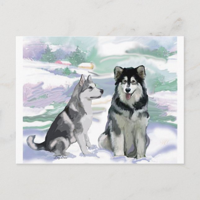 Alaska Malamute Winter Scene Vykort (Framsida)