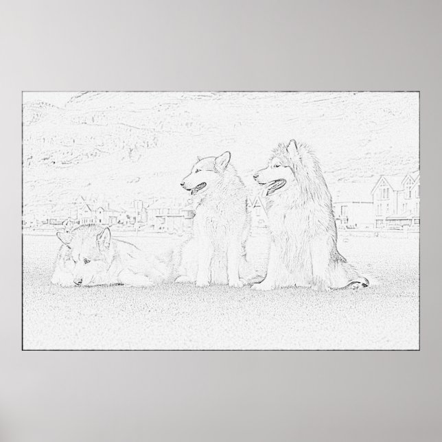 Alaska Malamutes Poster (Framsidan)