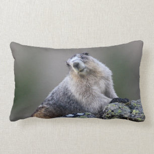 alaska marmot lumbarkudde