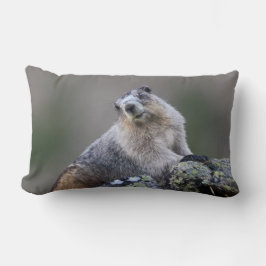 alaska marmot lumbarkudde