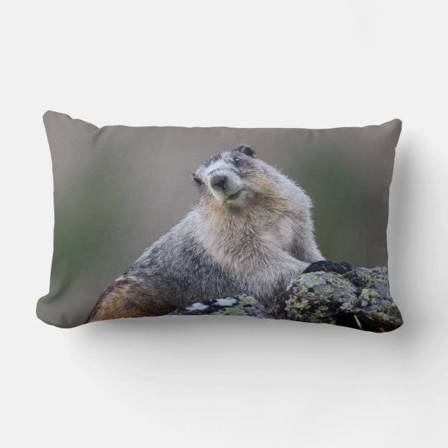 alaska marmot lumbarkudde (Framsida)