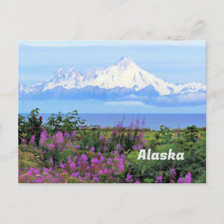 Alaska, Mount Iliamna Glacier och Fireweed Flowers Vykort