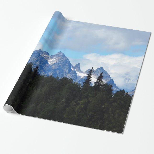 Alaska Mountain Range Photo Presentpapper (Utrullad)