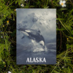 Alaska Mountains Killer Whale Orca Vykort<br><div class="desc">Den här designen kan vara personlig genom att välja det anpassade alternativet för att lägga till text. Kontakta mig på colorflowcreations@gmail.com om du vill ha denna design på en annan produkt. Köp min ursprungliga abstrakt-akrylmålning för försäljning på www.etsy.com/shop/colorflowart. Se fler av mina skapelser eller följ mig på www.facebook.com/colorflowcreations, www.instagram.com/colorflowcreations, www.twitter.com/colorflowart...</div>
