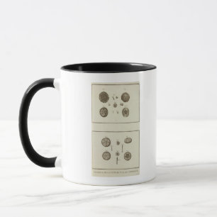 Alaska Mugg