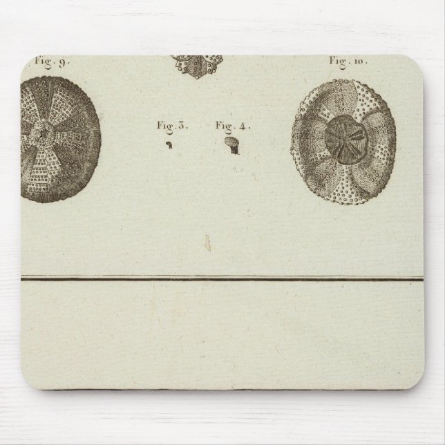 Alaska Musmatta (Framsidan)