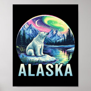 Alaska Norrsken Aurora Sevärdheter Semester Ala Poster