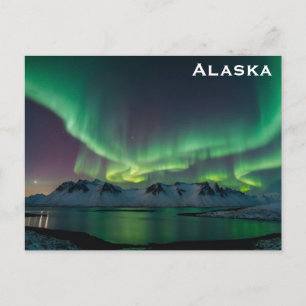 Alaska Norrsken Resa Foto Vykort