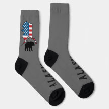 Alaska och björksilhuett, USA-flagga