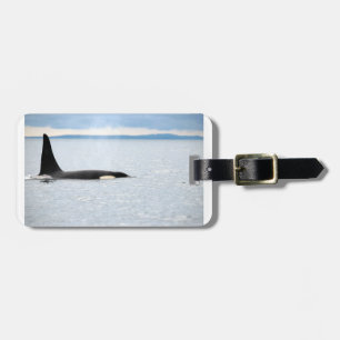 Alaska - Orca Bagagebricka