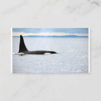Alaska - Orca Visitkort