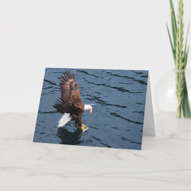 Alaska örn vid vatten kort (Framsida)