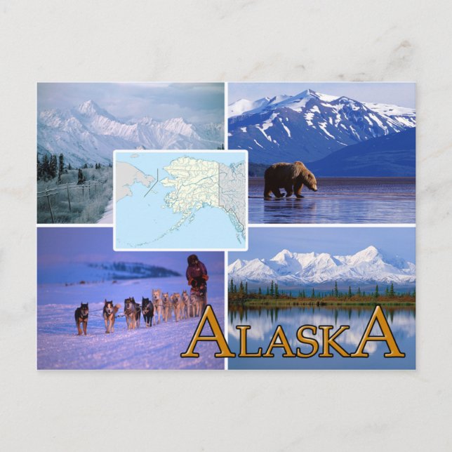 Alaska Postcard Vykort (Framsida)