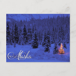 Alaska Postcard Vykort