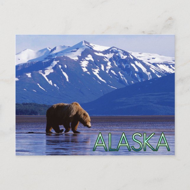 Alaska Postcard Vykort (Framsida)