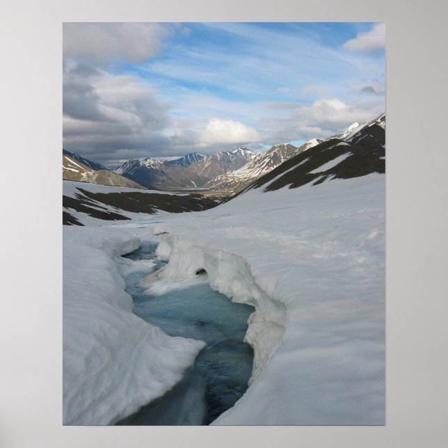 Alaska Poster (Framsidan)