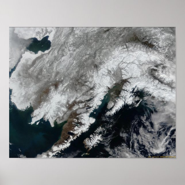 Alaska Poster (Framsidan)