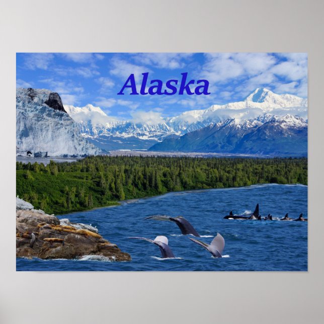 Alaska Poster (Framsidan)
