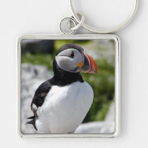 Alaska Puffins befjädrade färgrika fåglar Fyrkantig Silverfärgad Nyckelring
