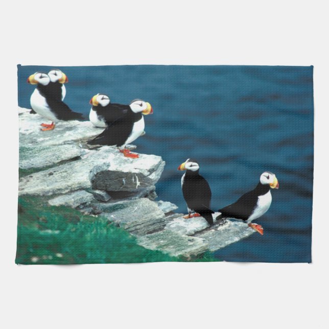 Alaska Puffins befjädrade färgrika fåglar Kökshandduk (Horisontell)