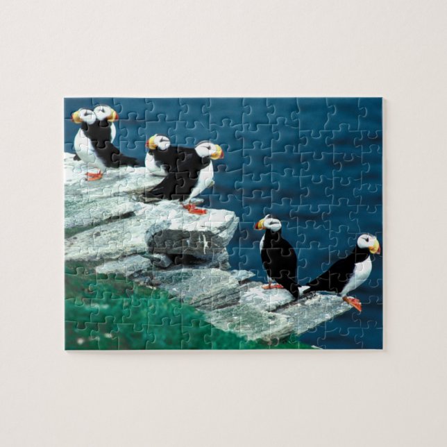 Alaska Puffins befjädrade färgrika fåglar Pussel (Horisontell)