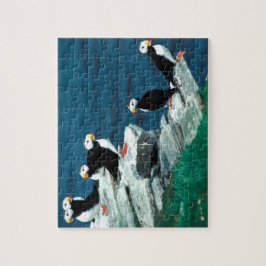 Alaska Puffins befjädrade färgrika fåglar Pussel