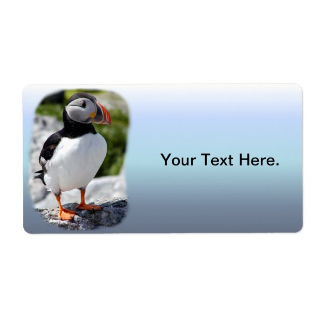 Alaska Puffins Feasted Colorful Birds Fraktsedel (Framsidan)